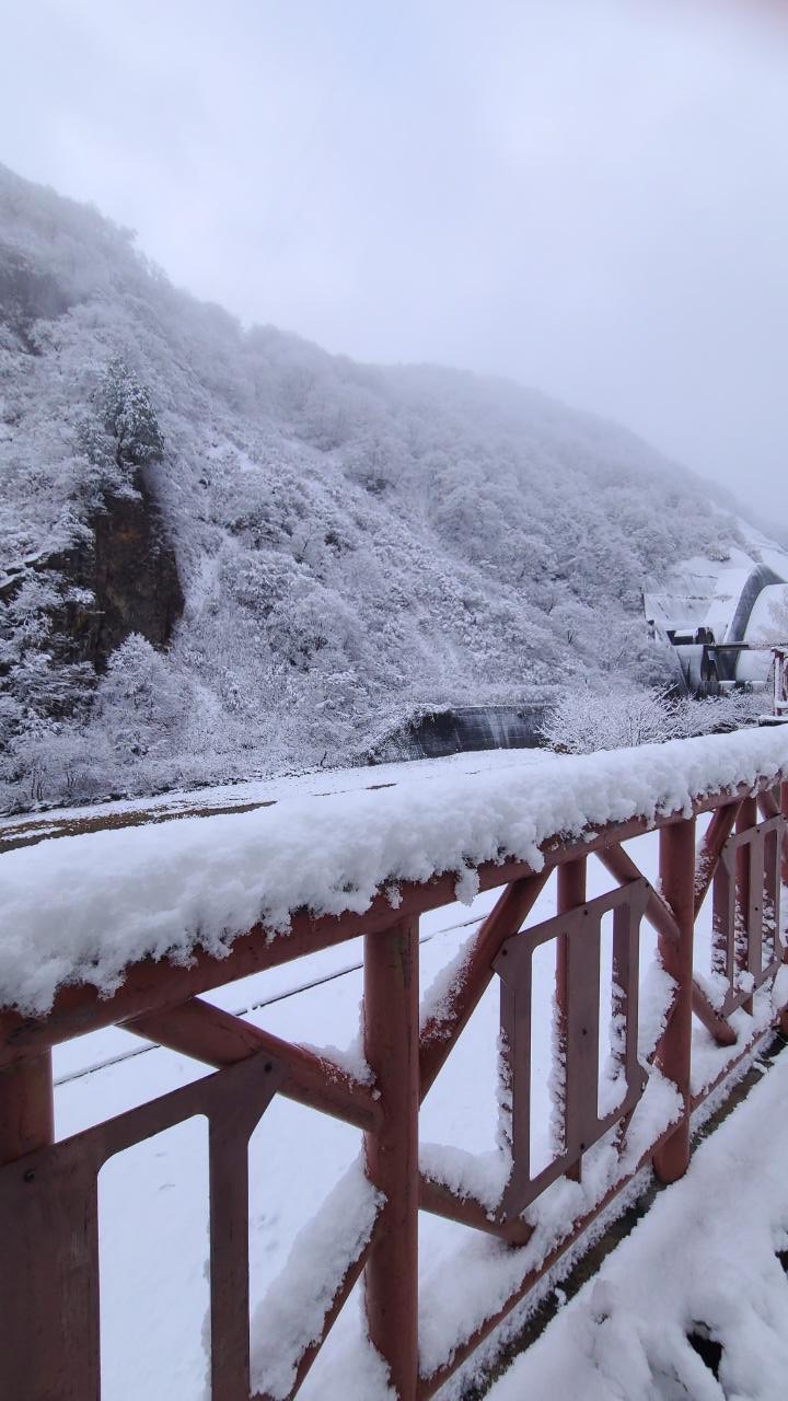 出張先の新潟ではキレイな雪景色です